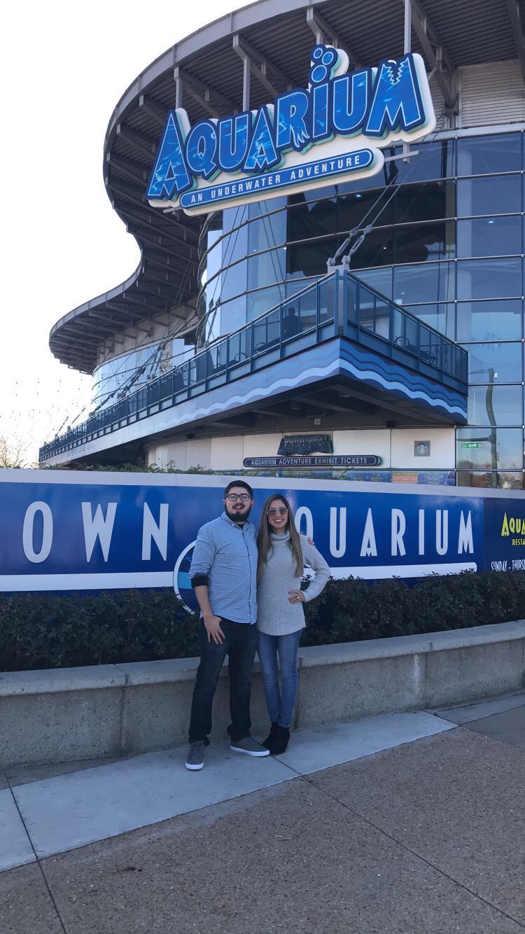 544E313E-6B45-4C2C-8CD7-0821B91FE73B